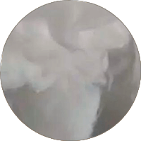 Eco-friendly Goose Down - 4