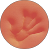 Memory Vitaminic® - 3