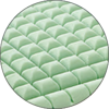 Memory Green - 0